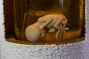 Image description is not available for 1983.68.1